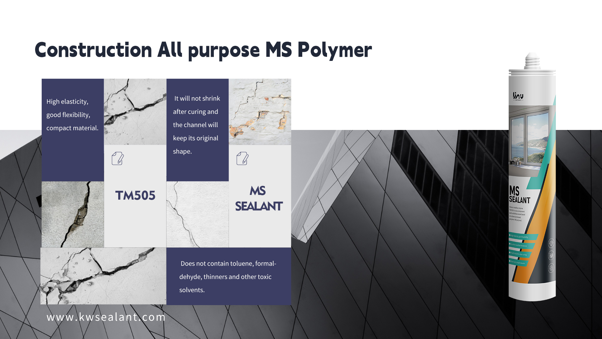 The Prospects of MS Sealant