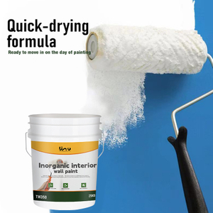 TW350 Eco-friendly Inorganic Interior Wall Coating