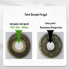 TW350 Eco-friendly Inorganic Interior Wall Coating