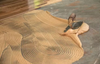 TM507 Kingwit Waterproof & Flexible Ms Polymer Adhesive And Sealant For Woodflooring Installation Supplier 