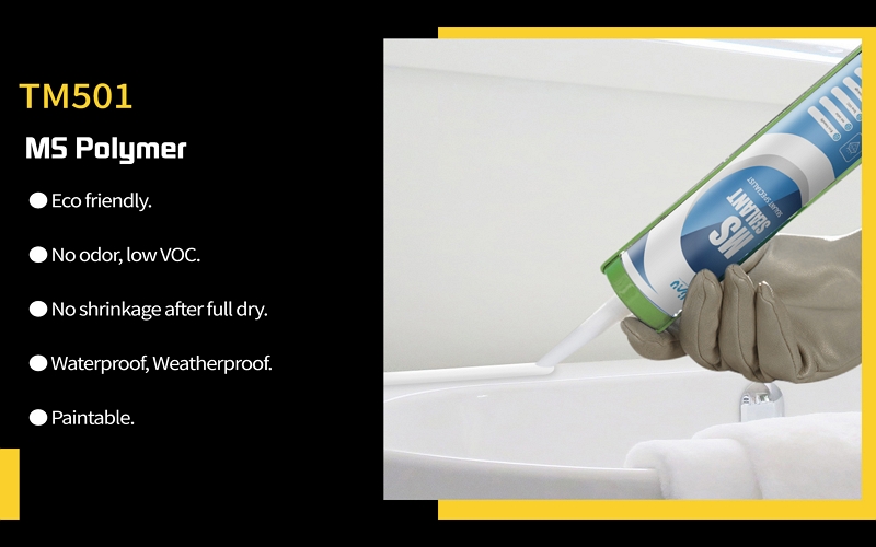 TM501 MS sealant