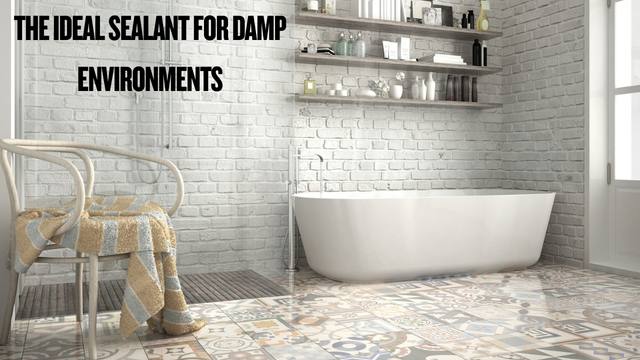 The Ideal Sealant for Damp Environments